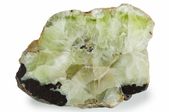 Wide Polished Prehnite Section - Australia #353731
